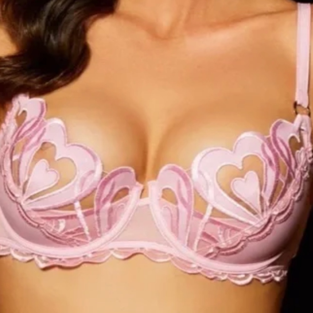 NWT - Honey Birdette Pink Heart Bra